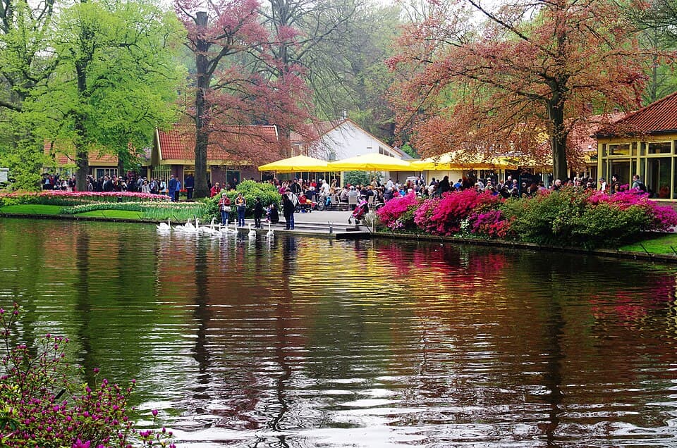 Keukenhof, Holland