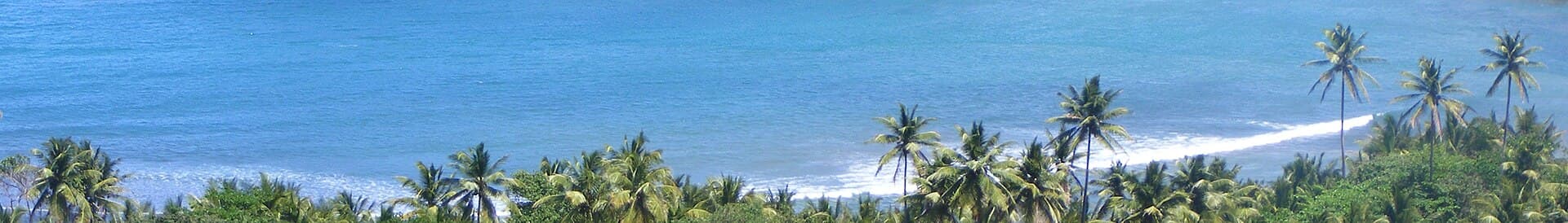 A view of Dominica