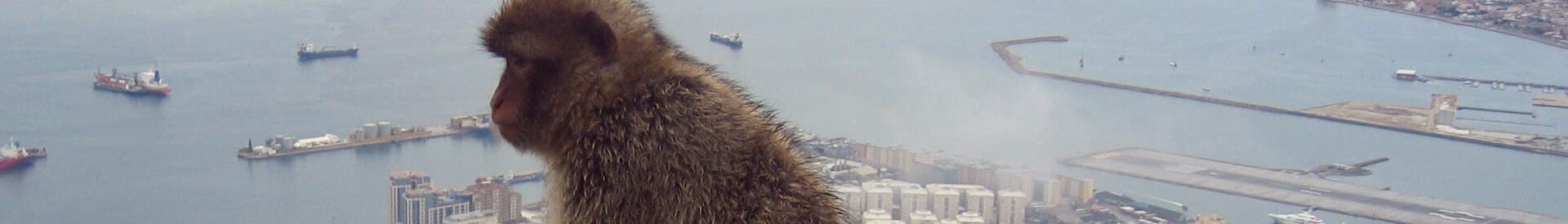 A view of Gibraltar