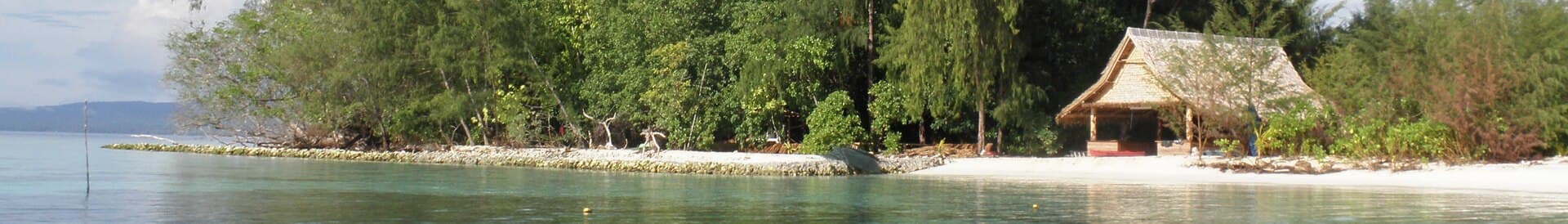 Kennedy Island (colloquially known as Plum Pudding Island though the correct local name is Kasolo Island) is an island in the Solomon Islands that was named…